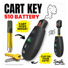 SMYLE PENJAMIN CAR KEY CART BATTERY