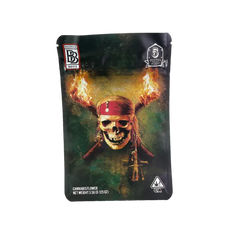 4X5 ZIPPER BAG 100PK PIRATE SKULL