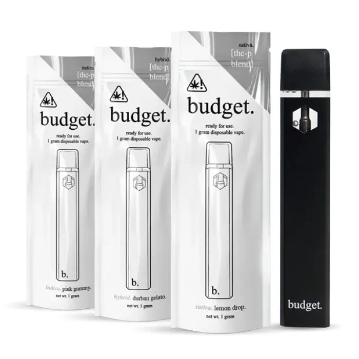 BUDGET REFILL DISPOSABLE THCP 1G 10CT