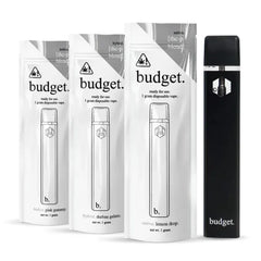 BUDGET REFILL DISPOSABLE THCP 1G 10CT
