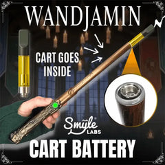 SMYLE WANDJAMIN CART BATTERY