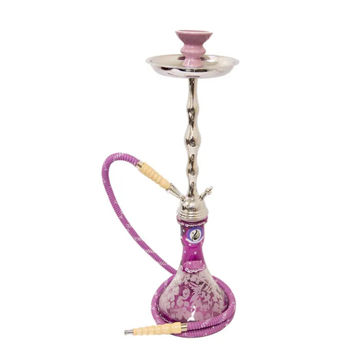 STARBUZZ HOOKAH ECONOKAH - ASSORTED
