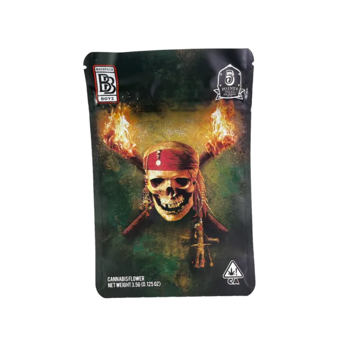 4X5 ZIPPER BAG 100PK PIRATE SKULL