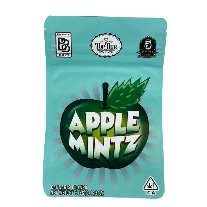 4X5 ZIPPER BAG 100PK APPLE MINTZ