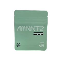 4X5 ZIPPER BAG 100PK MINTZ