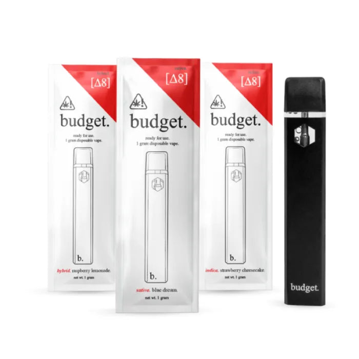 BUDGET REFILL DISPOSABLES D8 1G