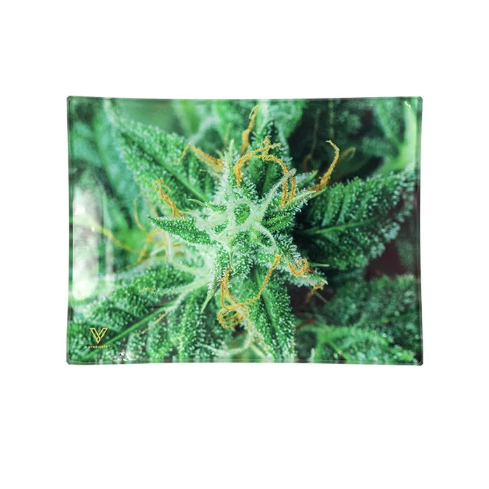 V-SYNDICATE GLASS TRAY MEDIUM - AK-47