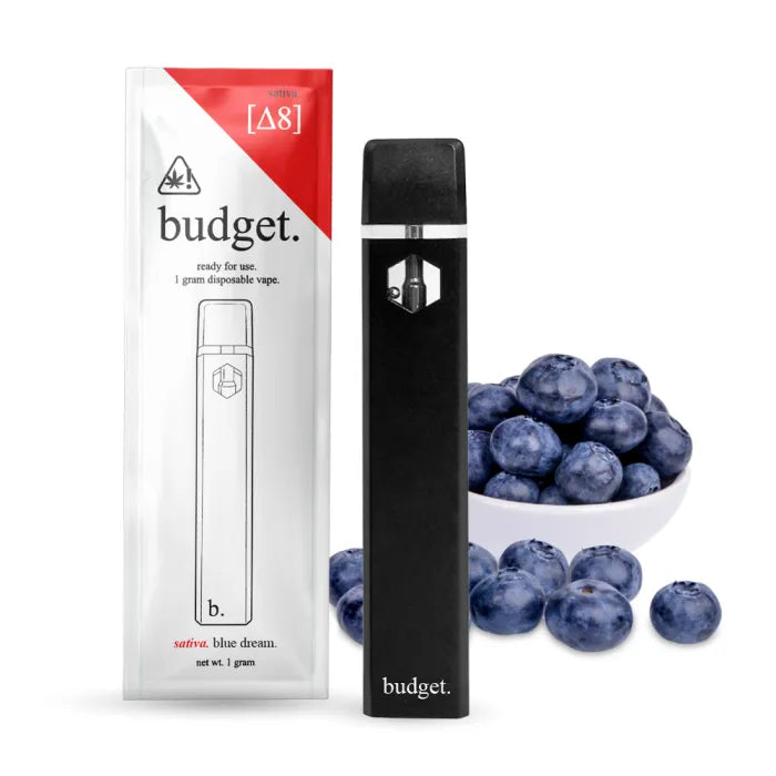 BUDGET REFILL DISPOSABLES D8 1G