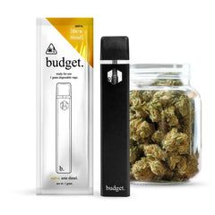 BUDGET REFILL DISPOSABLES THCA 1G 10CT