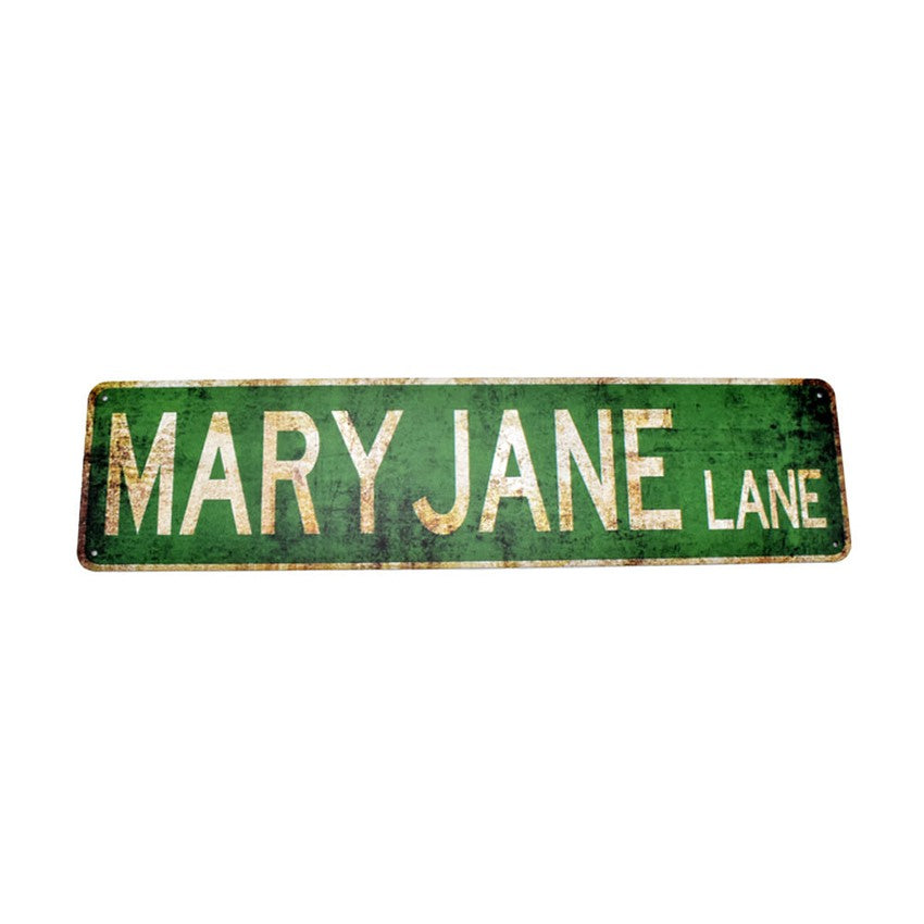 Distributor Special: Metal Street Sign 16" x 4" - Various Designs - (1 Count)