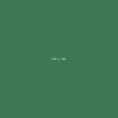 FUZION T-20 0.001g