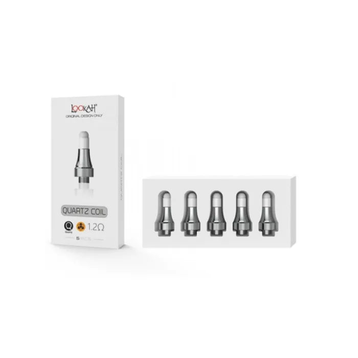 LOOKAH SEAHORSE COIL 5PK